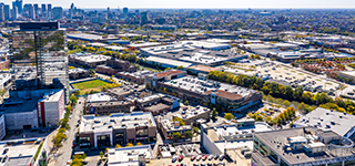 Windy City Cannabis - Chicago, IL Windy City Cannabis - Chicago, IL