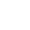 Icons_NM_White_cash