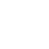 Icons_NM_White_shield-money