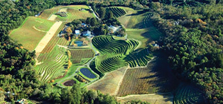 The Wine Group Vineyard Portfolio The Wine Group Vineyard Portfolio